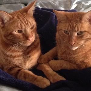 Meet your Posher, Sheila